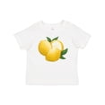 thumbnail image 1 of Inktastic Lemon Arrangement Boys or Girls Baby T-Shirt, 1 of 5