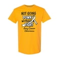 thumbnail image 1 of Inktastic Lung Cancer Awareness Not Going Down Without a Fight T-Shirt, 1 of 5