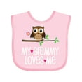 thumbnail image 1 of Inktastic My Grammy Loves Me Owl Girls Baby Bib, 1 of 4