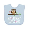 thumbnail image 1 of Inktastic My Grammy Loves Me Owl Girls Baby Bib, 1 of 4