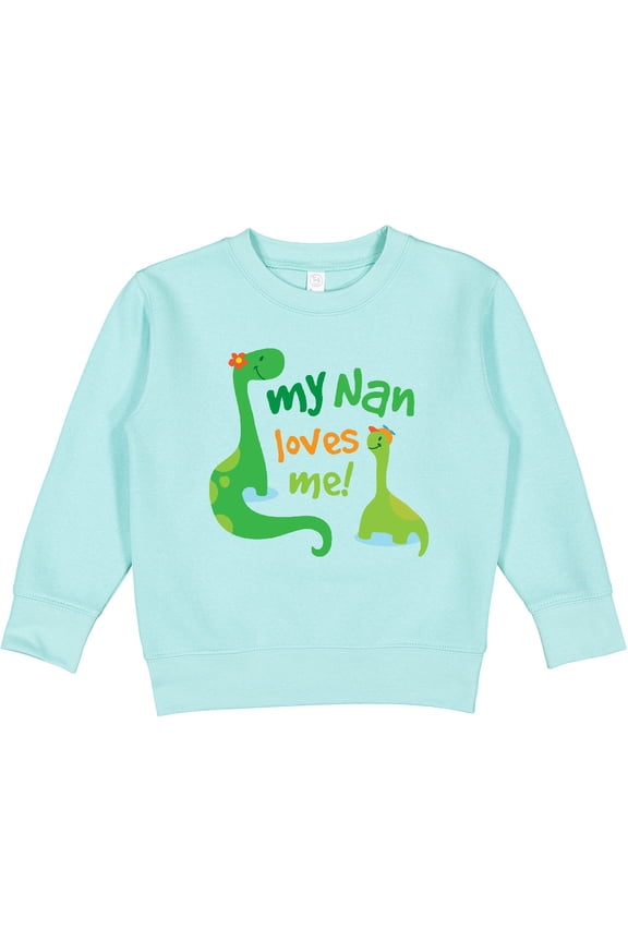 My Nan Loves Me Grandson Dinosaur Toddler Sweatshirt