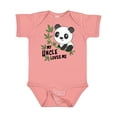 thumbnail image 1 of Inktastic My Uncle Loves Me Cute Panda Boys or Girls Baby Bodysuit, 1 of 5