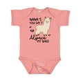 thumbnail image 1 of Inktastic Nana's You Say Alpaca My Bags Boys or Girls Baby Bodysuit, 1 of 5
