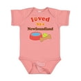 thumbnail image 1 of Inktastic Newfoundland Dog Lover Boys or Girls Baby Bodysuit, 1 of 5