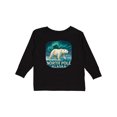 thumbnail image 1 of Inktastic North Pole Alaska Polar Bear Aurora Boys or Girls Long Sleeve Toddler T-Shirt, 1 of 5
