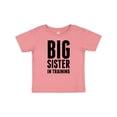 thumbnail image 1 of Inktastic Older sister in training Girls Baby T-Shirt, 1 of 5
