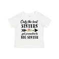 thumbnail image 1 of Inktastic Only the Best Sisters Get Promoted to Big Sister Boys or Girls Toddler T-Shirt, 1 of 5