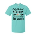 thumbnail image 1 of Inktastic Only the Best Sisters Get Promoted to Big Sister T-Shirt, 1 of 5