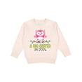 thumbnail image 1 of Inktastic Owl Be a Big Sister in 2026 Toddler Sweatshirt, 1 of 4