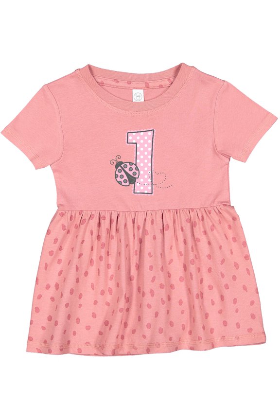 Pink Ladybug 1st Birthday Girls Baby Dress