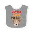 thumbnail image 1 of Inktastic Pit Bull Terrier Dog Lover Boys or Girls Baby Bib, 1 of 4