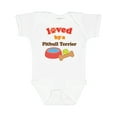 thumbnail image 1 of Inktastic Pitbull Terrier Loved by a (Dog Breed) Boys or Girls Baby Bodysuit, 1 of 5