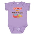 thumbnail image 1 of Inktastic Pitbull Terrier Loved by a (Dog Breed) Boys or Girls Baby Bodysuit, 1 of 5