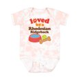 thumbnail image 1 of Inktastic Rhodesian Ridgeback Loved by a (dog Breed) Boys or Girls Baby Bodysuit, 1 of 5