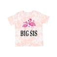 thumbnail image 1 of Inktastic Sister Announcement Flamingo Sister Girls Toddler T-Shirt, 1 of 5