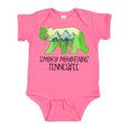 thumbnail image 1 of Inktastic Smoky Mountains, Tennessee Mountains and Bear Shape Boys or Girls Baby Bodysuit, 1 of 5