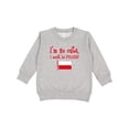 thumbnail image 1 of Inktastic So Cute Polish Toddler Sweatshirt, 1 of 4