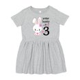 thumbnail image 1 of Inktastic Somebunny is Three-third Birthday Bunny Girls Toddler Dress, 1 of 5