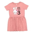 thumbnail image 1 of Inktastic Somebunny is Three-third Birthday Bunny Girls Toddler Dress, 1 of 5