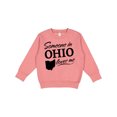 thumbnail image 1 of Inktastic Someone in Ohio Loves Me Toddler Sweatshirt, 1 of 4