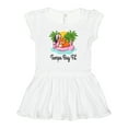 thumbnail image 1 of Inktastic Tampa Bay Florida Flamingo Girls Baby Dress, 1 of 5