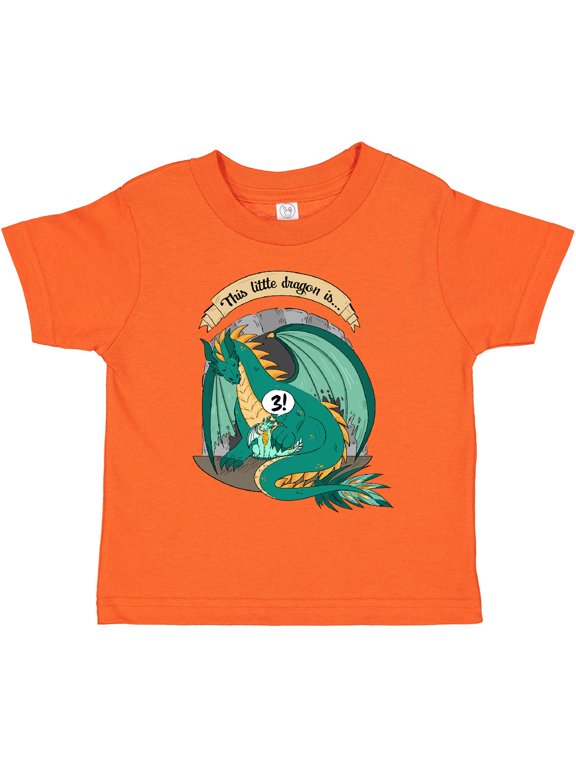Third Birthday This Little Dragon Is 3 Boys or Girls Toddler T-Shirt