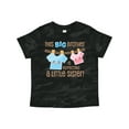 thumbnail image 1 of Inktastic This Big Brother is Expecting a Little Sister Boys Toddler T-Shirt, 1 of 5