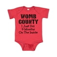 thumbnail image 1 of Inktastic Womb County I Just Did 9 Months on the Inside Boys or Girls Baby Bodysuit, 1 of 4