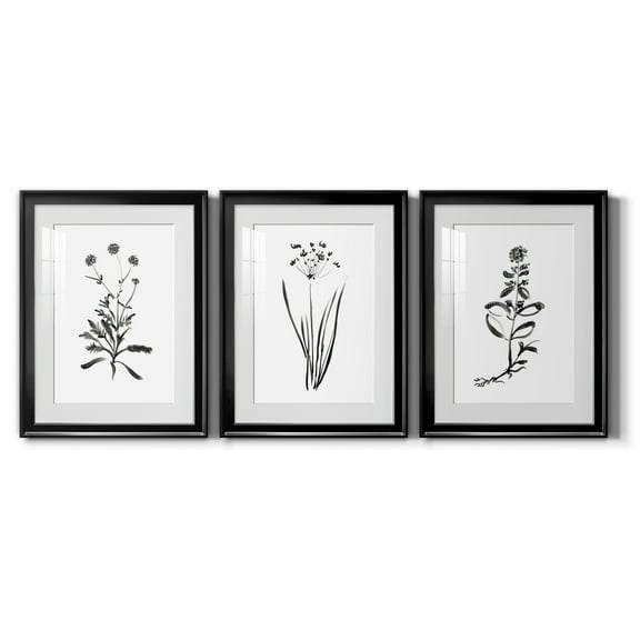 Inky Botanical I Premium Framed Prints Set of 3 - Ready to Hang - 18 x 24 Each - Black Frame