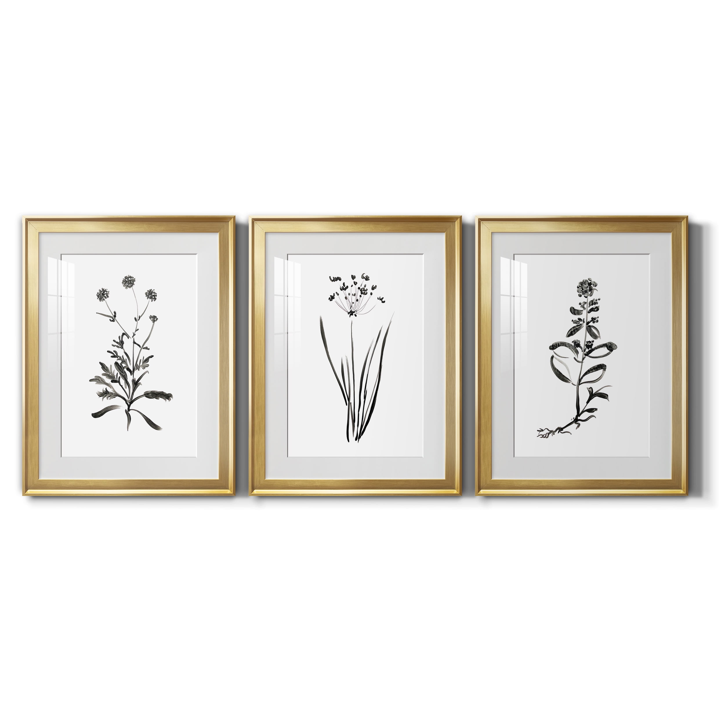 Inky Botanical I Premium Framed Prints Set of 3 - Ready to Hang - 18 x 24 Each - Gold Frame