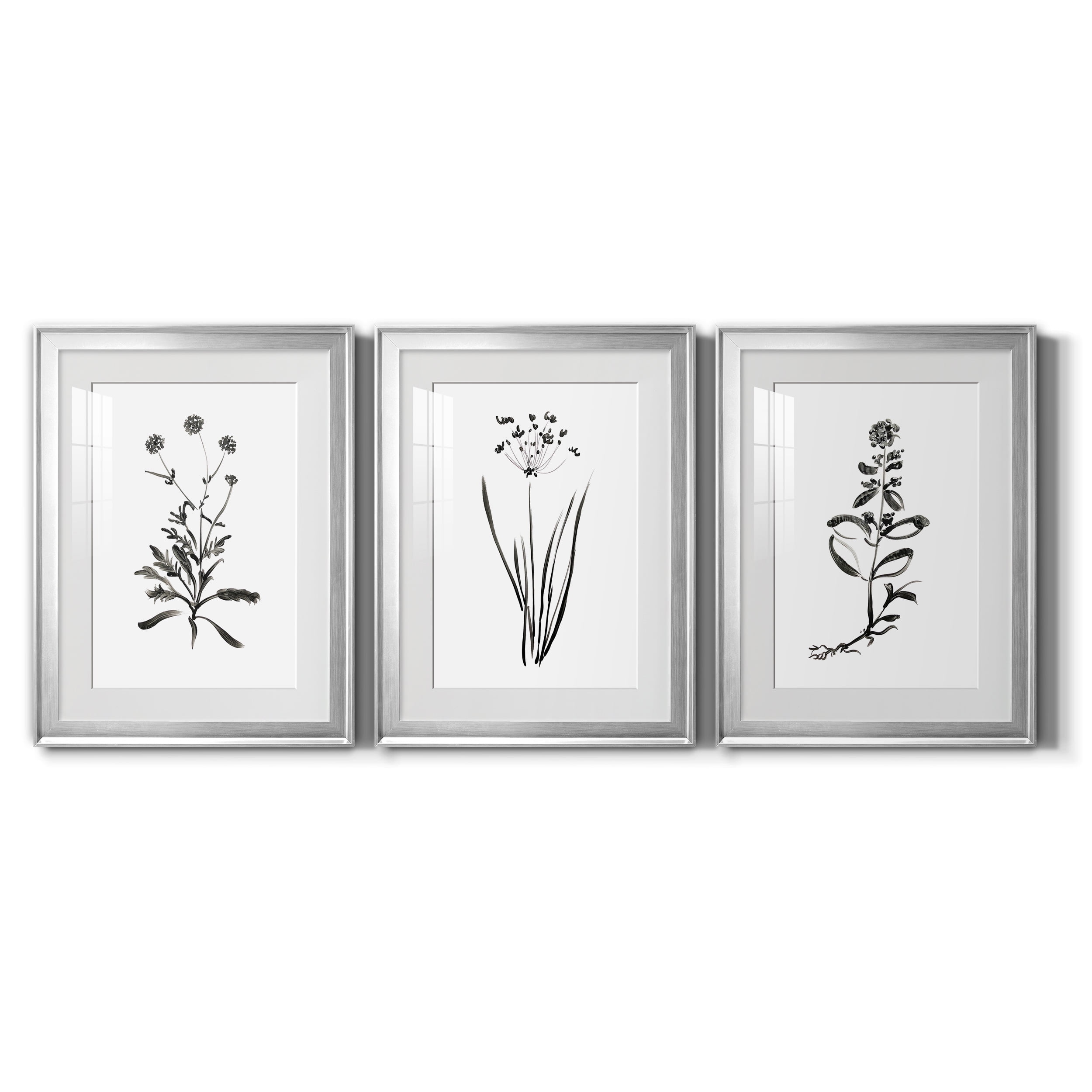 Inky Botanical I Premium Framed Prints Set of 3 - Ready to Hang - 18 x 24 Each - Silver Frame