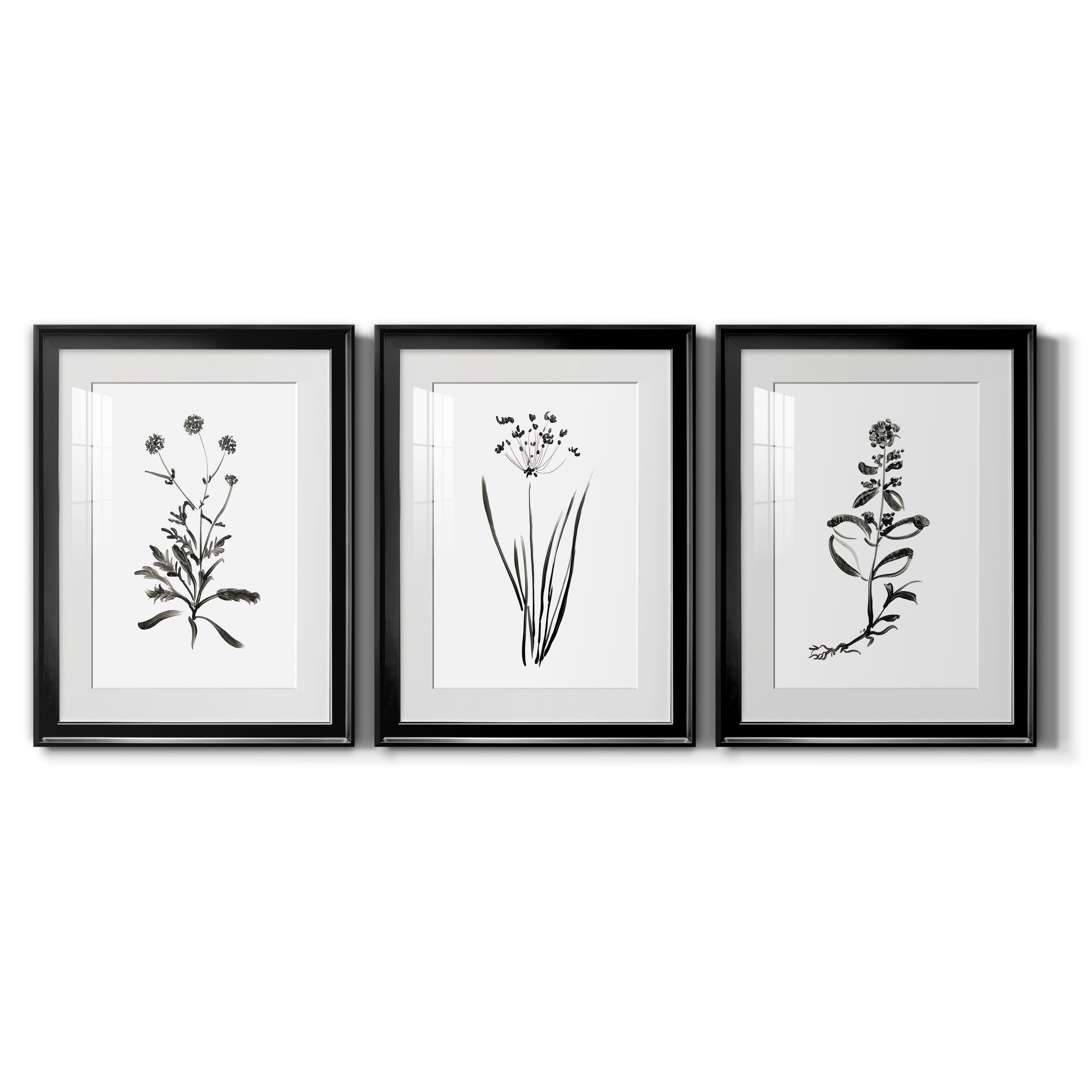 Inky Botanical I Premium Framed Prints Set of 3 - Ready to Hang - 22 x 30 Each - Black Frame