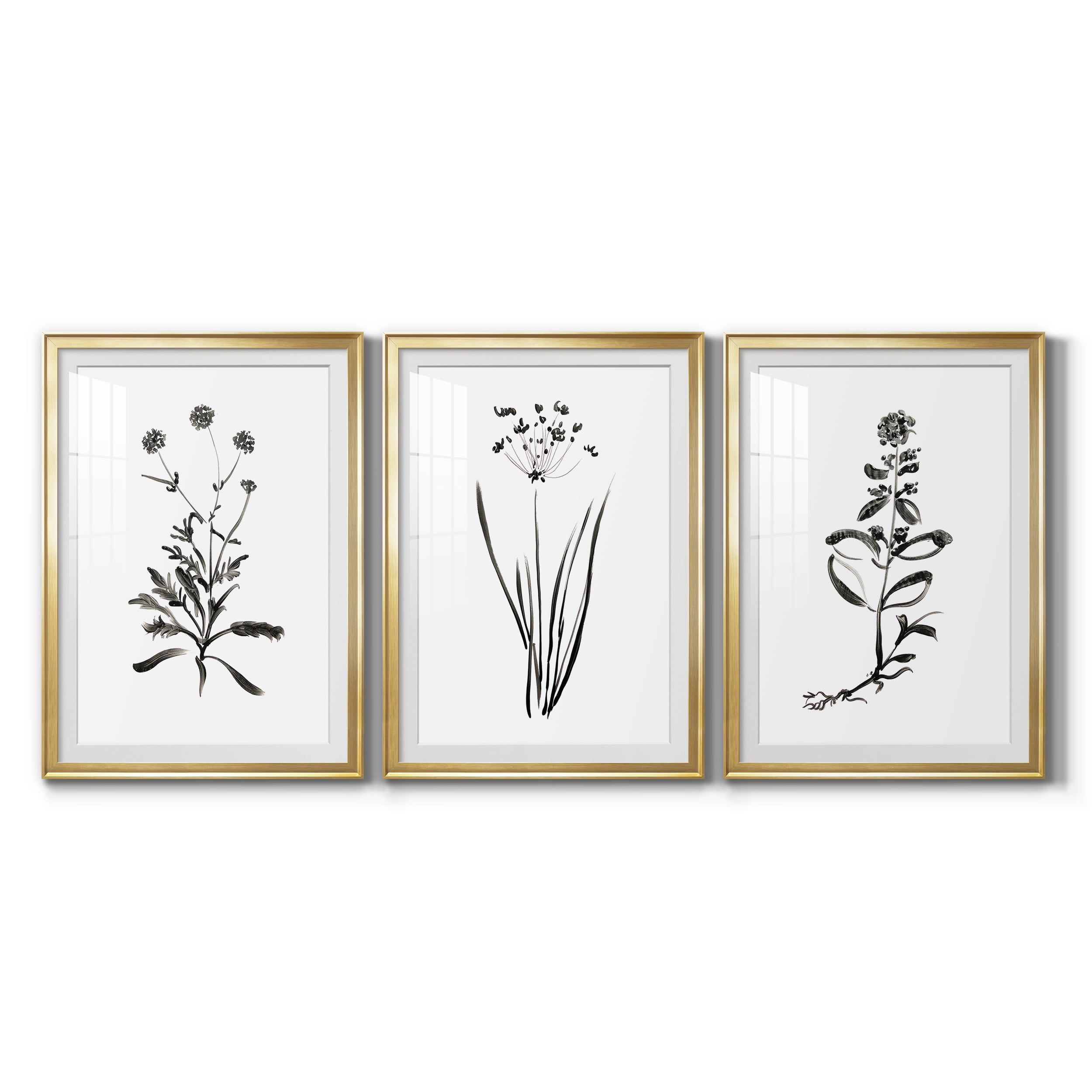 Inky Botanical I Premium Framed Prints Set of 3 - Ready to Hang - 26.5 x 36.5 Each - Gold Frame