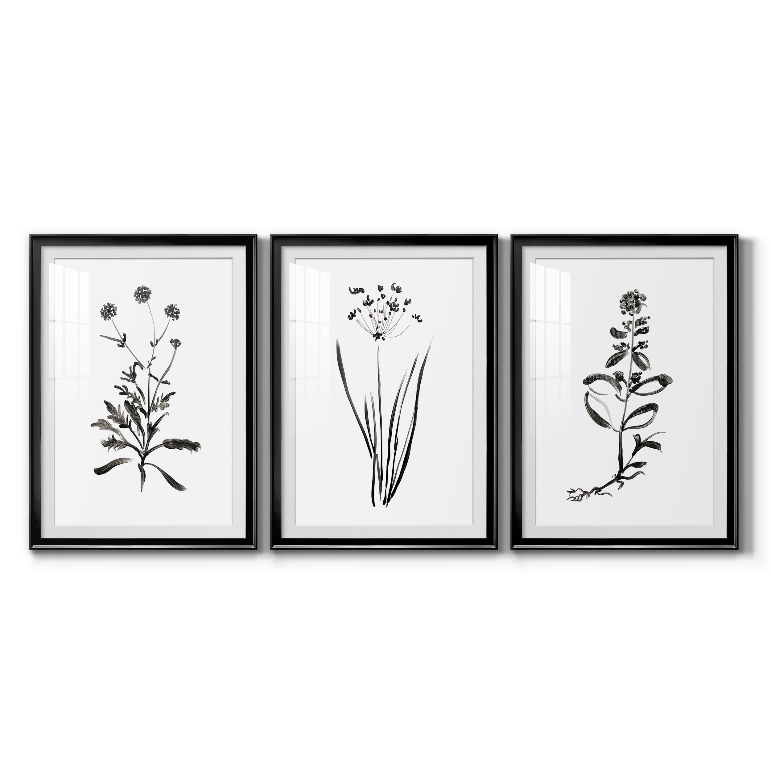 Inky Botanical I Premium Framed Prints Set of 3 - Ready to Hang - 30.5 x 42.5 Each - Black Frame