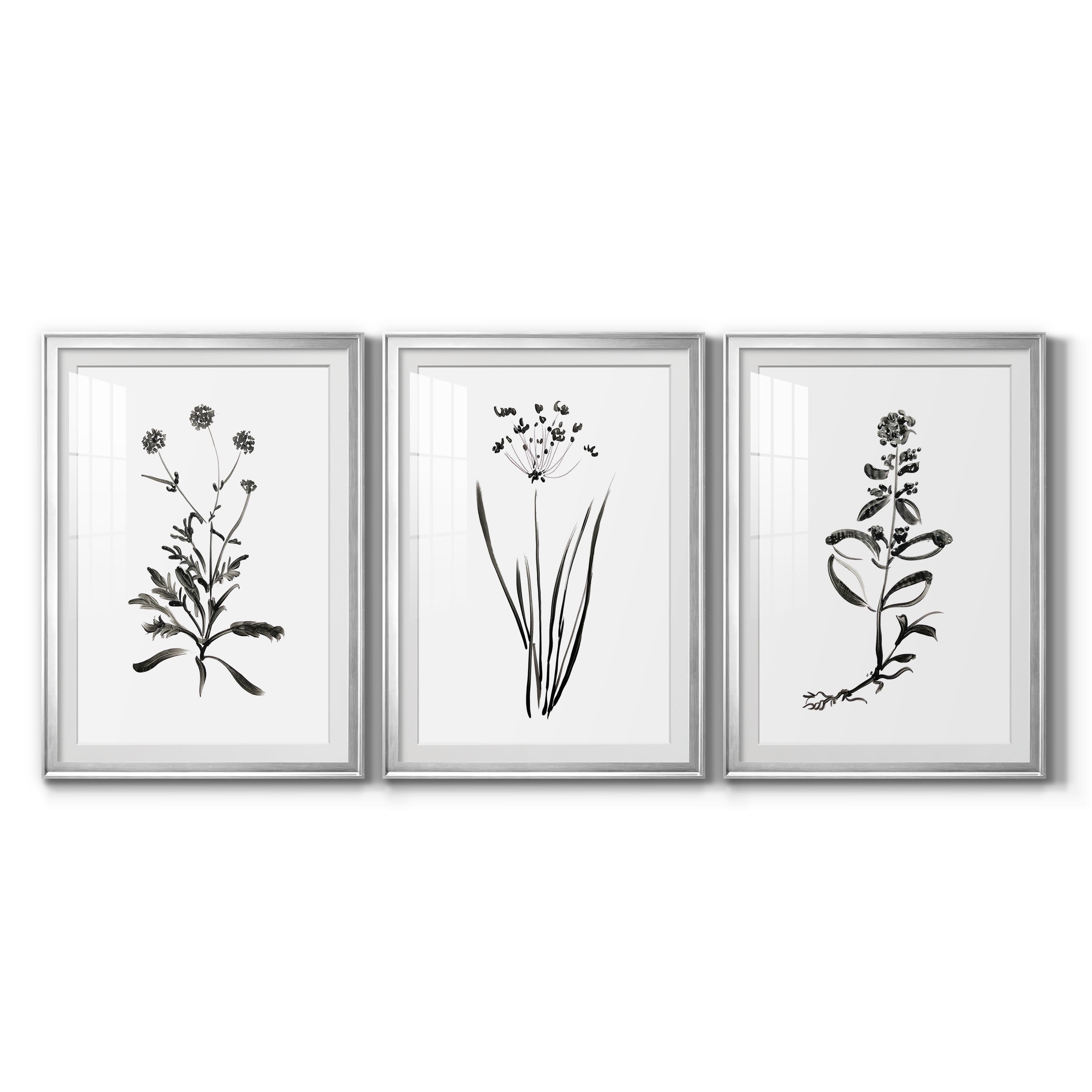 Inky Botanical I Premium Framed Prints Set of 3 - Ready to Hang - 30.5 x 42.5 Each - Silver Frame