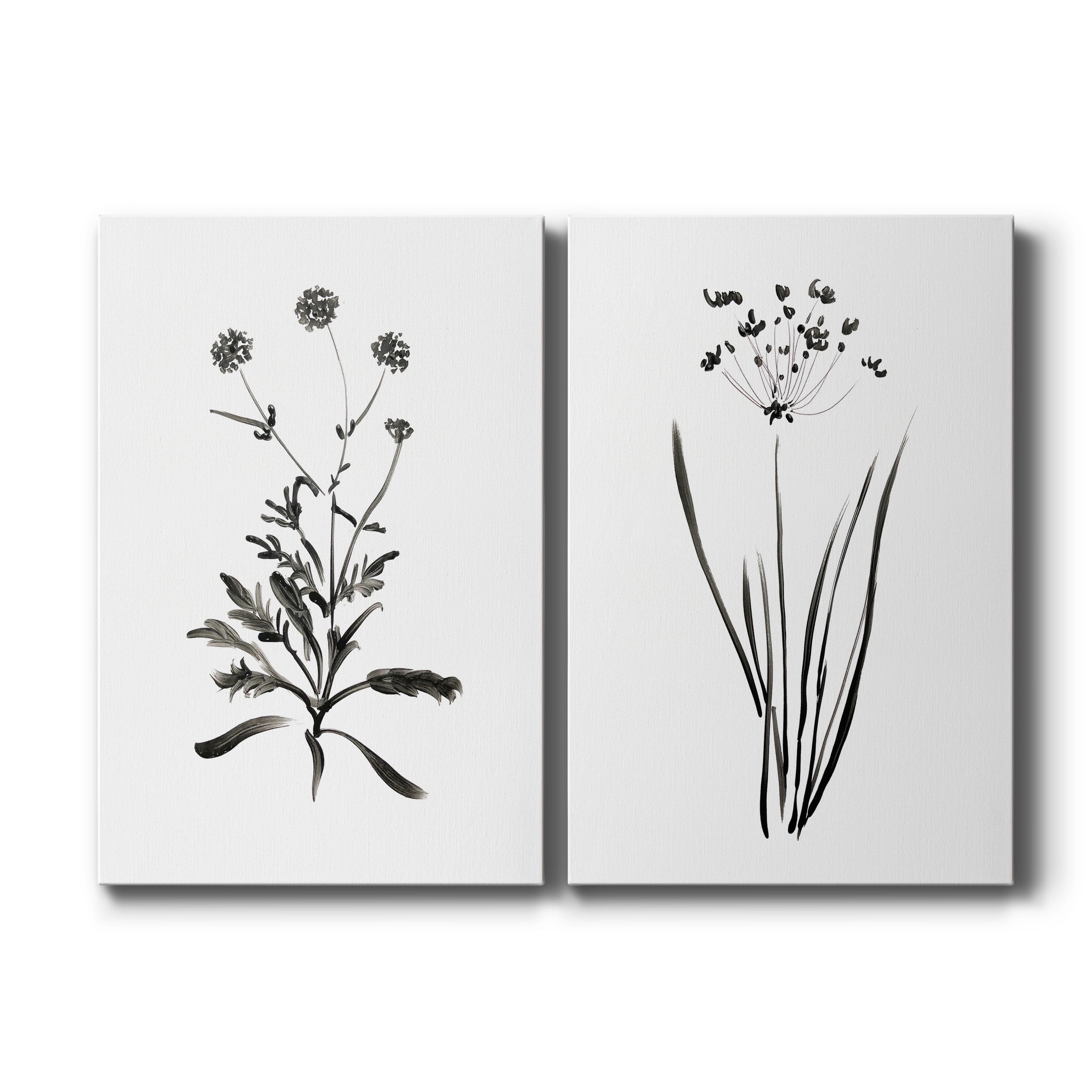 Inky Botanical I Premium Gallery Wrapped Canvas - Ready to Hang - Set of 2 - 40 x 60 Each