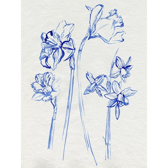 Art.com Inky Daffodils I Art Print by Jennifer Parker, 12" x 16"