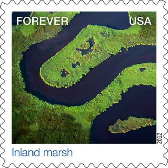 Inland Marsh Canvas Art - US POSTAL SERVICE (24 x 24)