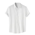 thumbnail image 1 of Inleife Men Casual Solid Turndown Short Sleeve Button Closure Shirt Hawaii Blouse, 1 of 5