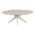 thumbnail image 1 of Inmod Mid-Century Modern Starburst Sunwash Oval Coffee Table, 1 of 4