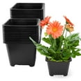 thumbnail image 1 of Innens 10Pcs Plastic Plant Flower Pot Garden Nursery Seedlings Pot Container, Black, 1 of 14