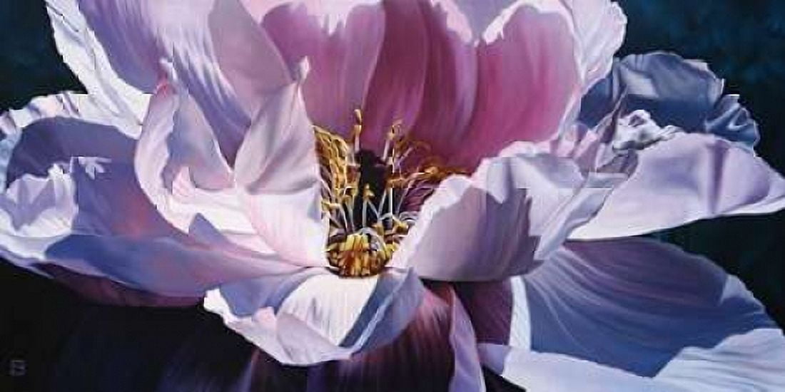 Inner Beauty Canvas Art - Michael Schuh (10 x 20)