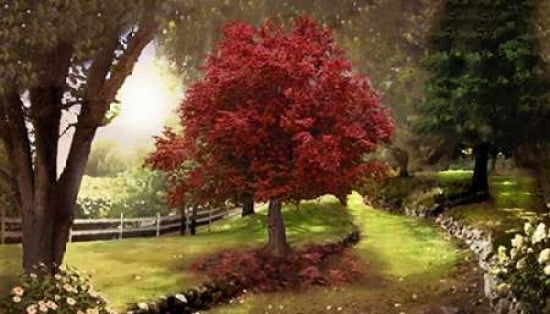 Inner Sanctuary Canvas Art - David M Maclean (24 x 36)