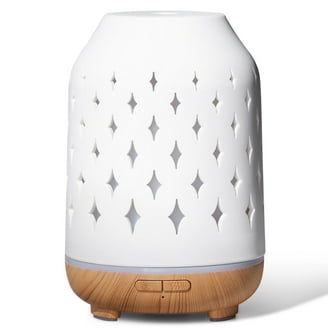 bananenpflanze wohnzimmer Bananenpflanze - Musa - 150cm