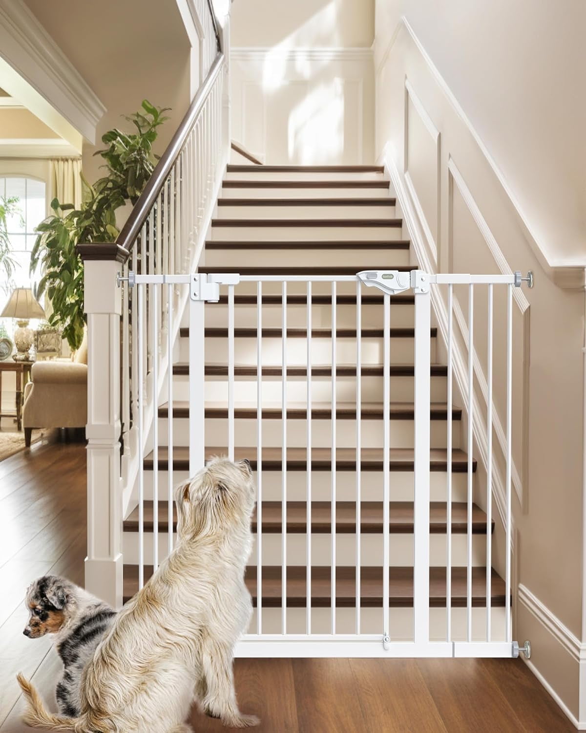 Stairs Rabbit Gates Bunny Blocker/ Rabbit Stopper Stair Gate/door