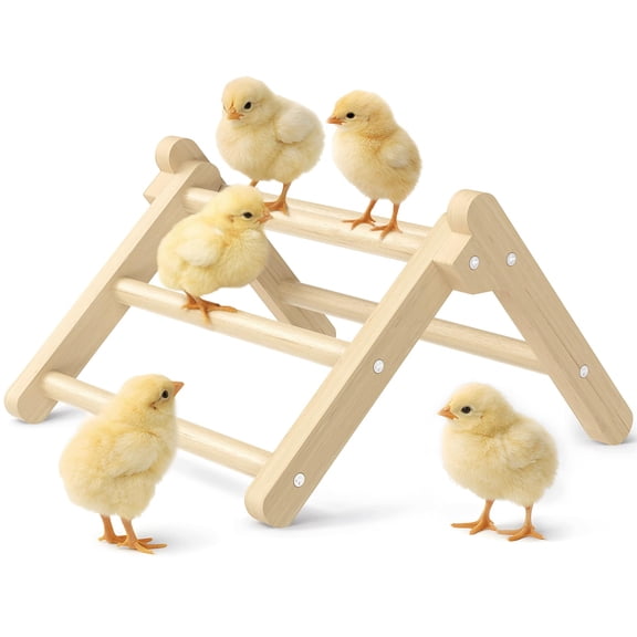 Innoland Chick Perch Foldable, Perch for Chicks Stable & No Assemble, Chick Roosting Perch for Stand Training, 11.02"  9.84"  6.10" Baby Chick Toys for Chicken Brooder | Coop (M)