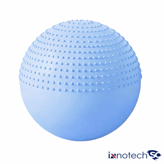 Innotech SC 65 cm (25.5 Inch) 2-in-1 Massage & Yoga Exercise Ball with Pump, Anti-Burst Stability Ball for Fitness, Pregnancy, Office Chair & Balance Training, Blue