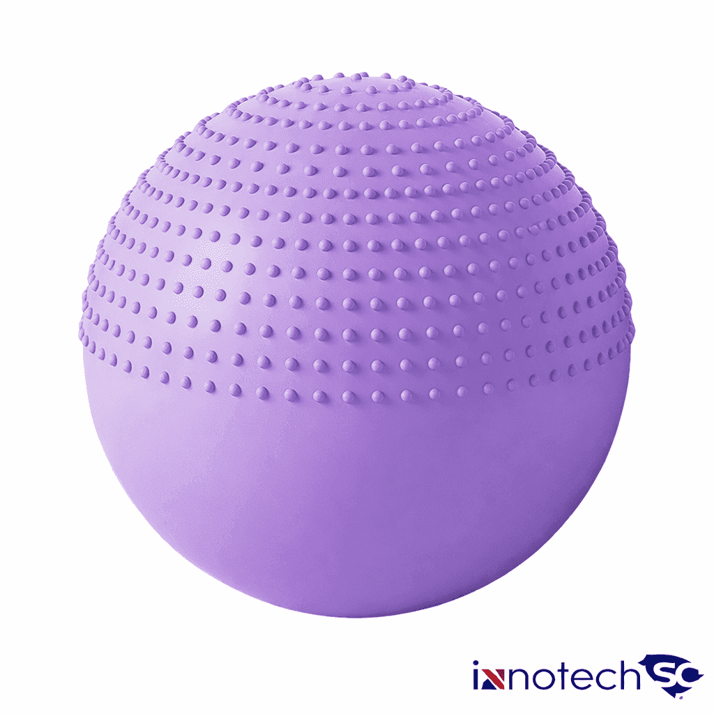 Innotech SC 65 cm (25.5 Inch) 2-in-1 Massage & Yoga Exercise Ball with Pump, Anti-Burst Stability Ball for Fitness, Pregnancy, Office Chair & Balance Training, Purple