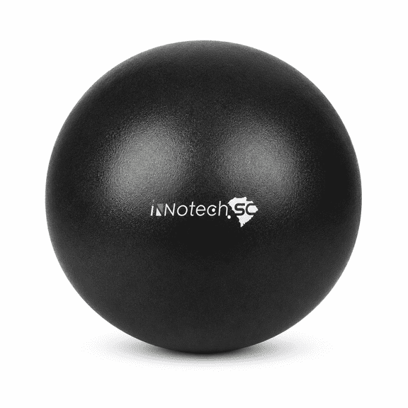 InnotechSC Pilates Ball 9 Inch Core Ball, Small Exercise Ball with Exercise Guide Barre Ball Mini Yoga Ball for Pilates, Yoga, Core Training, Physical Therapy, Balance, Stability, Stretching