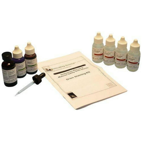 Innovating Science Grams Stain Kit